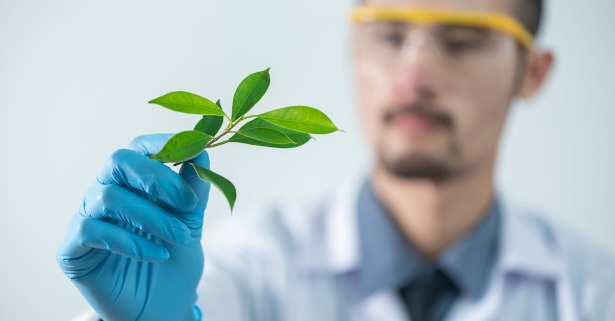 DDOS攻击|金猪商城app详情下载教程