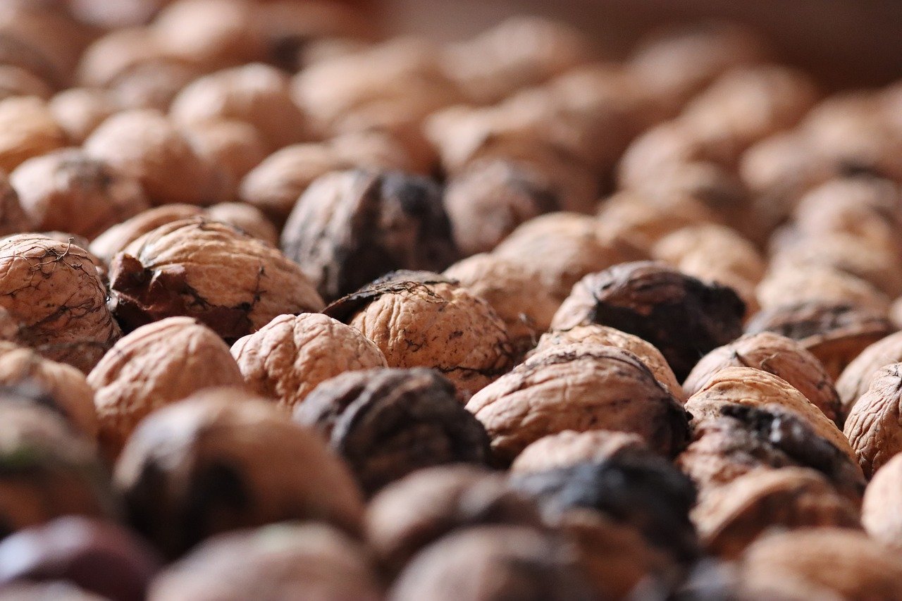 七牛云实名账号:今日头条账号注册抖音号