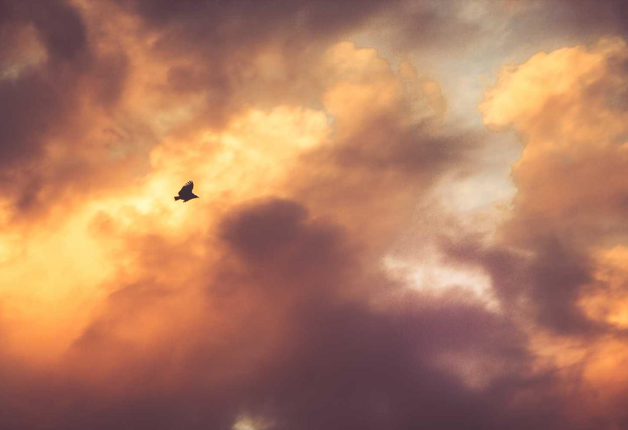 剑网3指尖对弈辅助- 钱塘工商执照注册代理机构