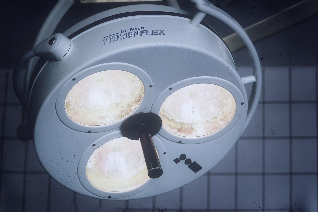 第九大陆辅助- 安徽能耗低的货运代理平台