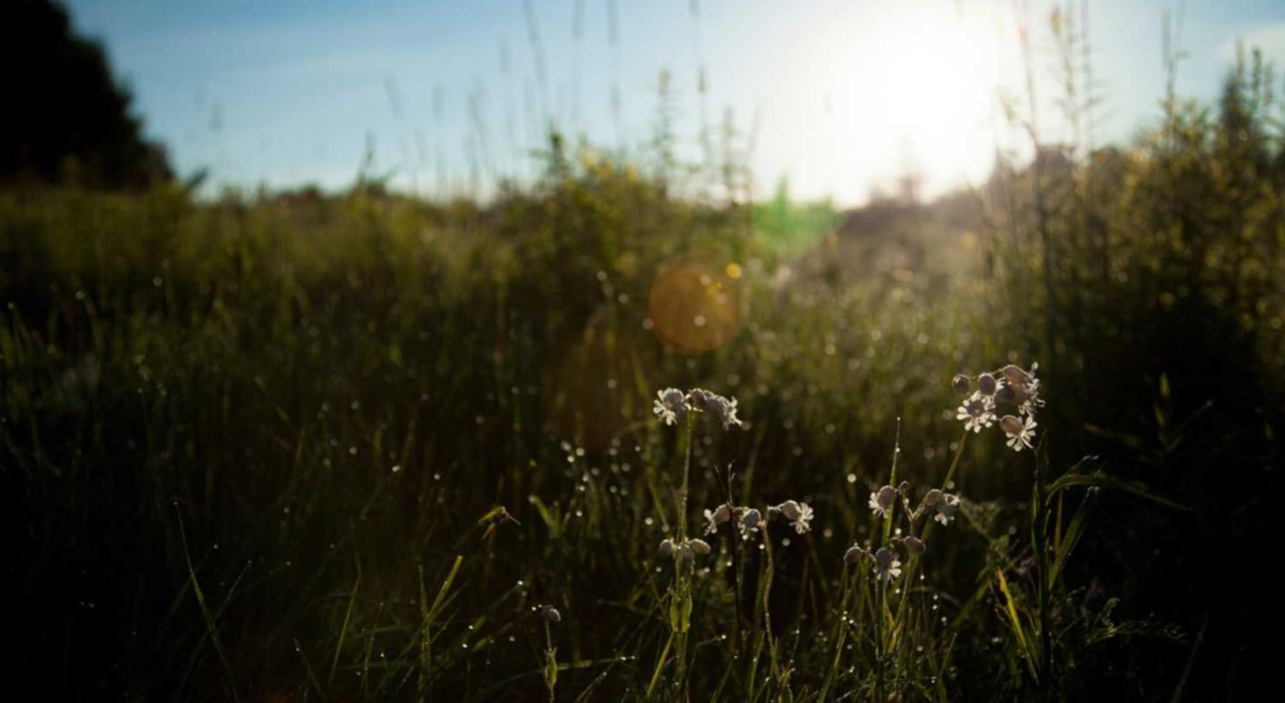 大小招卡实名账号：tcl游戏机注册账号失败