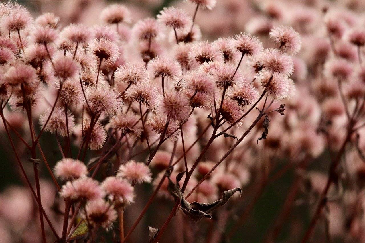 神都探奇：陇南代理游戏平台